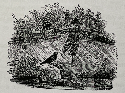 Bewick Crow