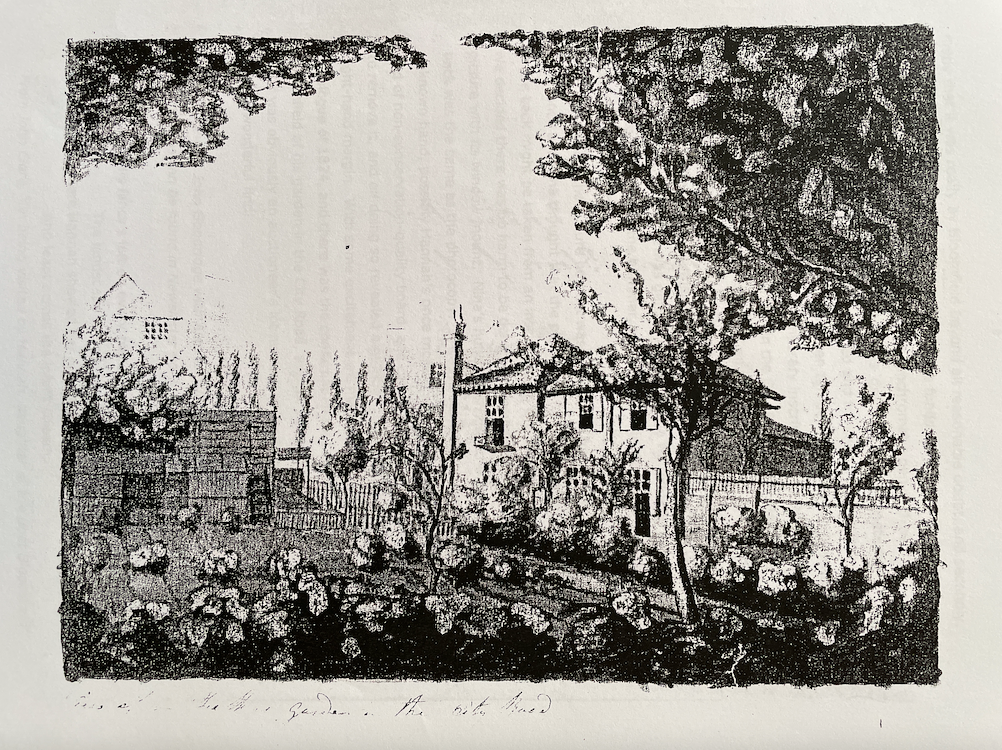 cover of newsletter 30